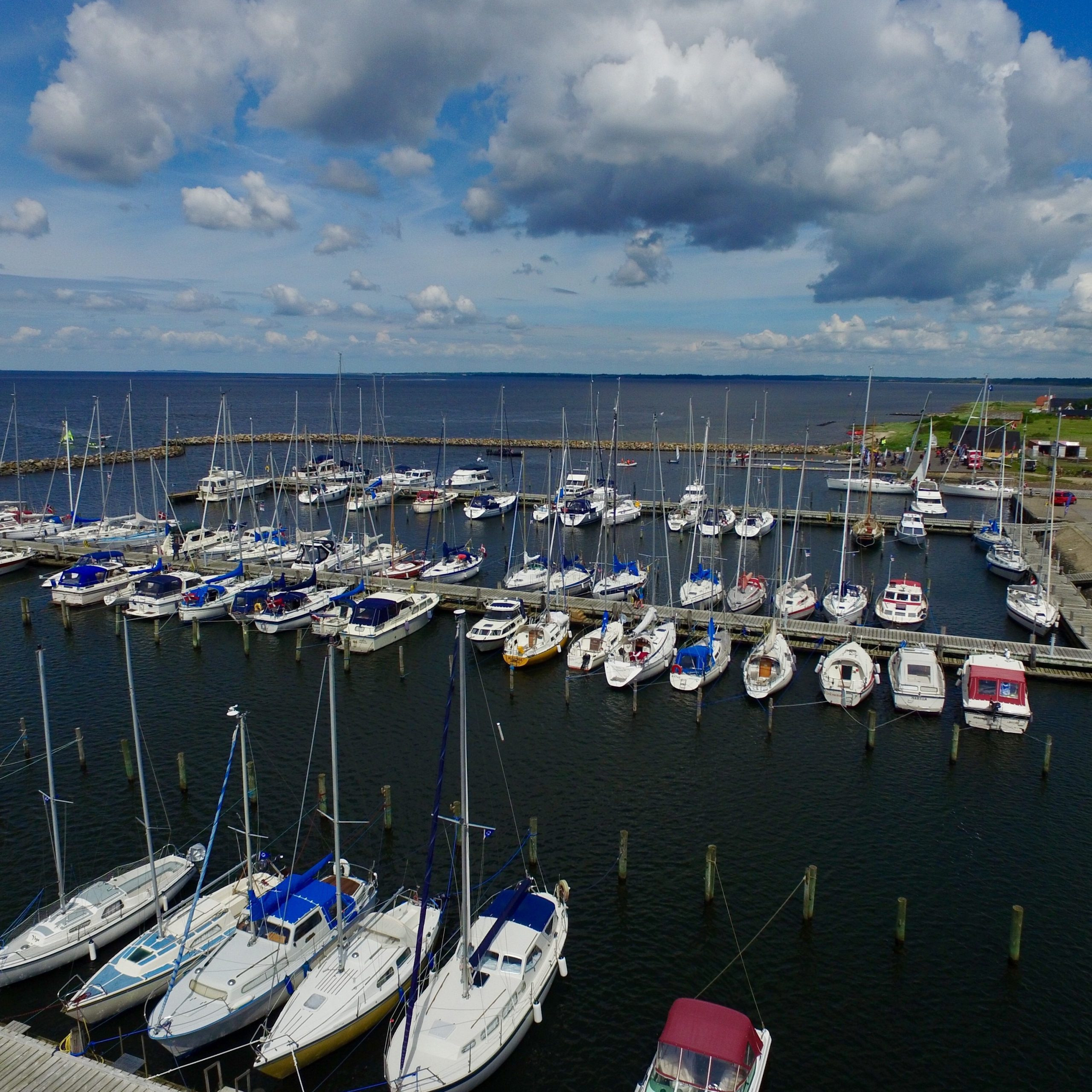 Nautilus – Hvalpsund