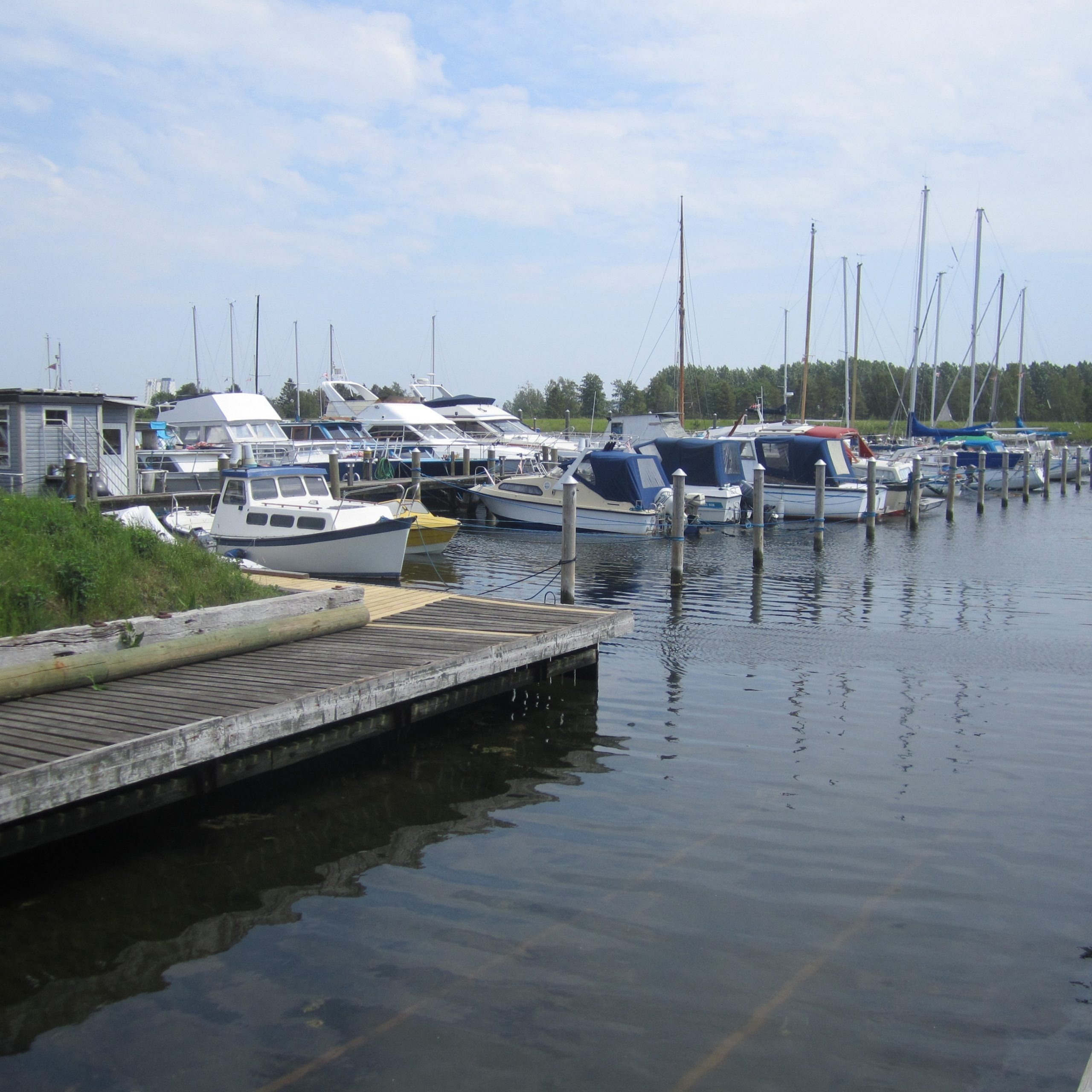 Sejlforeningen “Syd”